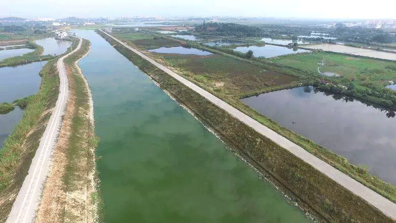 东莞市谢岗镇谢岗截洪渠河涌原位生态修复服务项目